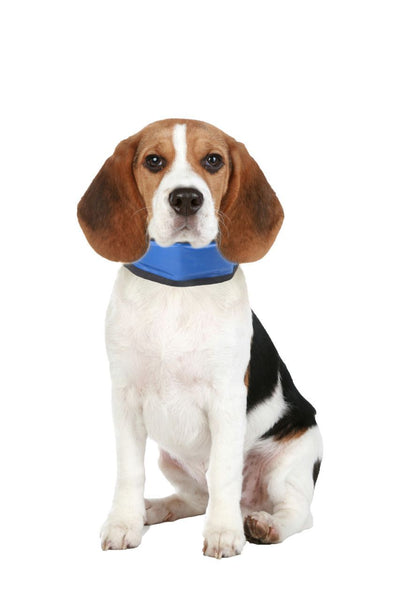 Flamingo Dog Cooling Bandana