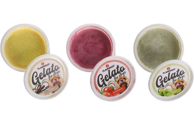 Flamingo Gelato Ice Cream Dog Treats 40g