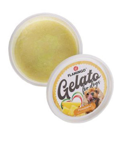 Flamingo Gelato Ice Cream Dog Treats 40g