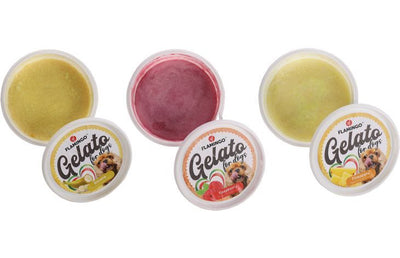 Flamingo Gelato Ice Cream Dog Treats 40g