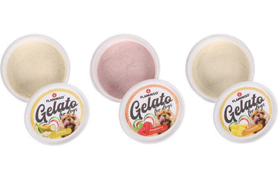 Flamingo Gelato Ice Cream Dog Treats 40g