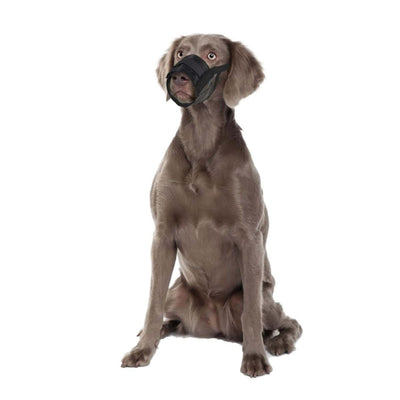 Flamingo Teddie Mesh Dog Muzzle