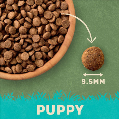 Harringtons Complete Turkey & Rice Dry Puppy Food