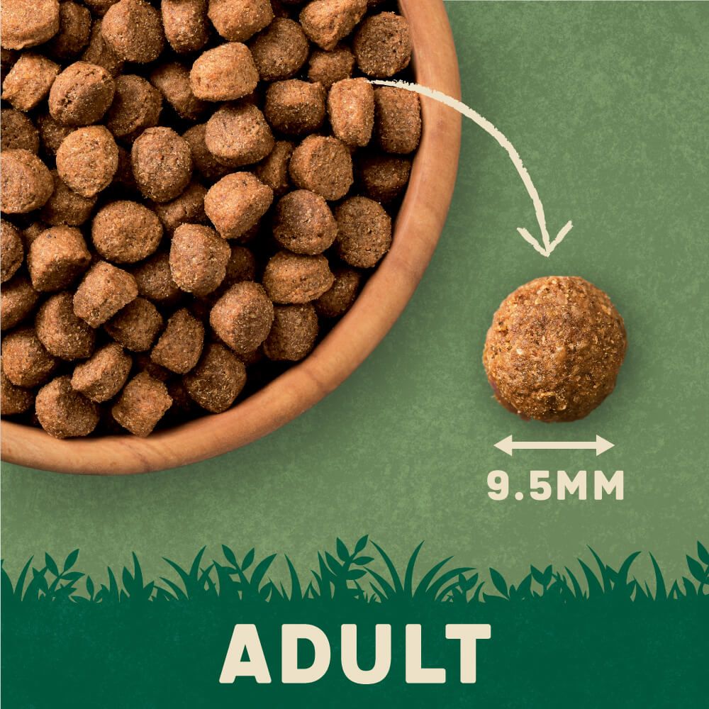 Harringtons Complete Turkey with Veg Adult Dry Dog Food