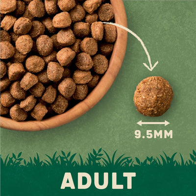 Harringtons Complete Turkey with Veg Adult Dry Dog Food