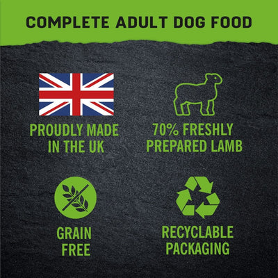 Harringtons Just 6 Lamb Grain Free Adult Wet Dog Food 380g