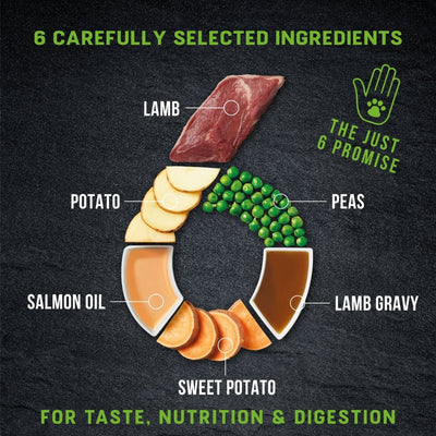 Harringtons Just 6 Lamb Grain Free Adult Wet Dog Food 380g