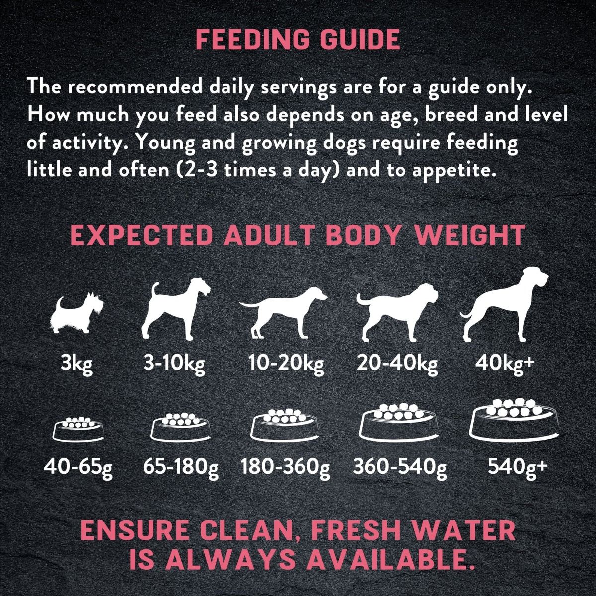 Harringtons Just 6 Salmon Grain Free Adult Dry Dog Food