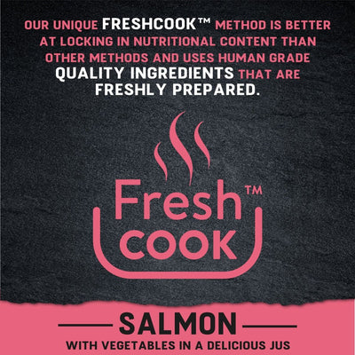 Harringtons Just 6 Salmon Grain Free Adult Wet Dog Food 380g