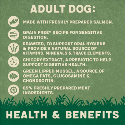 Harringtons Salmon Grain Free Adult Wet Dog Food 400g