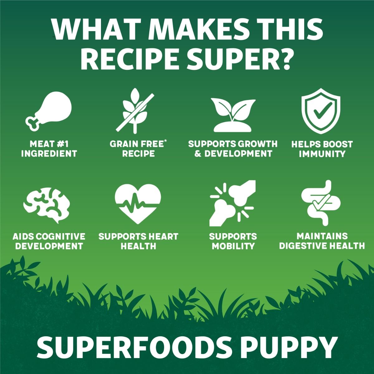 Harringtons Superfoods Chicken with Vegetables Puppy Dry Dog Food