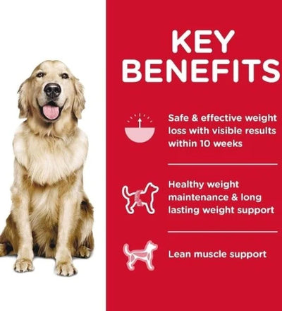 Hill's Science Plan Adult Perfect Weight Large Breed Dog Food with Chicken