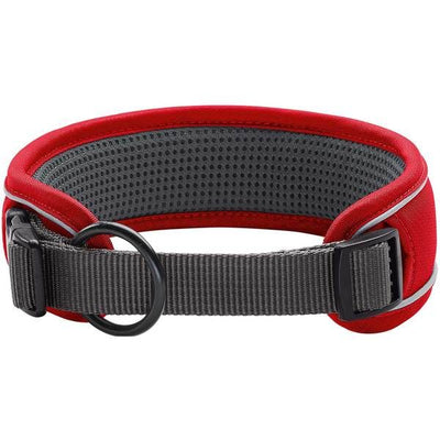 Hunter Divo Dog Collar