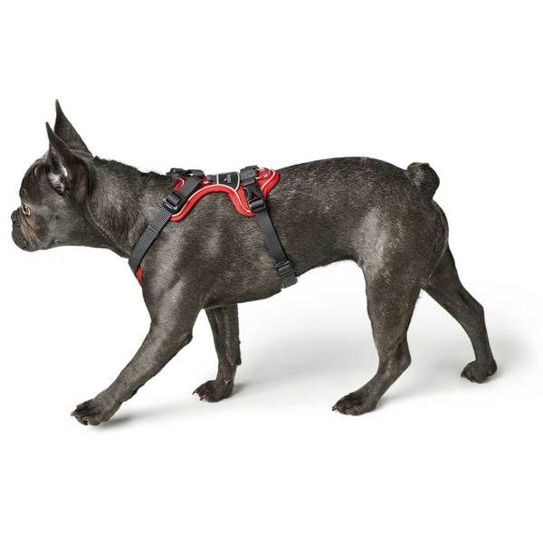 Hunter Divo Dog Harness