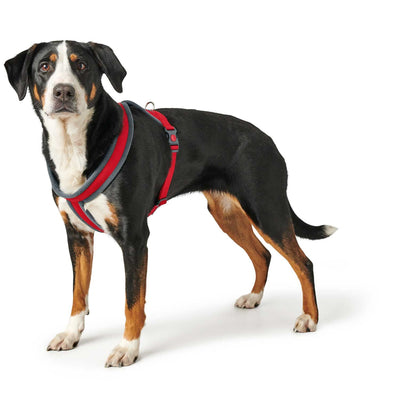 Hunter London Dog Harness