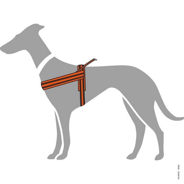Hunter Meldal Dog Harness