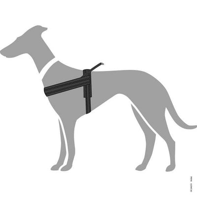 Hunter Meldal Dog Harness