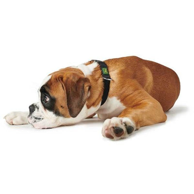 Hunter Vario Basic Dog Collar