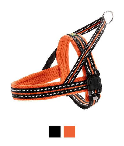 Hunter Meldal Dog Harness