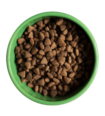 Yora Pet Foods Insect Protein Adult Dry Dog Food