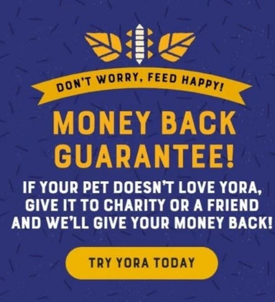 Yora Pet Foods Insect Protein Adult Dry Dog Food