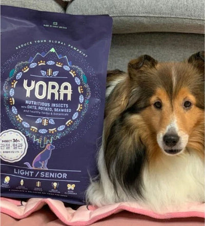 Yora Pet Foods Insect Protein Light Senior Dry Dog Food