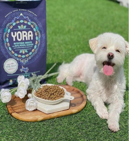 Yora Pet Foods Insect Protein Puppy Dry Dog Food