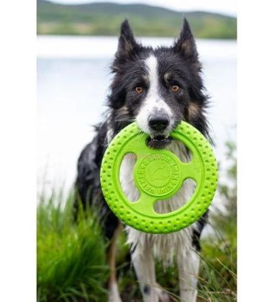 KIWI WALKER Lets play! FRISBEE MINI Toy for Dogs