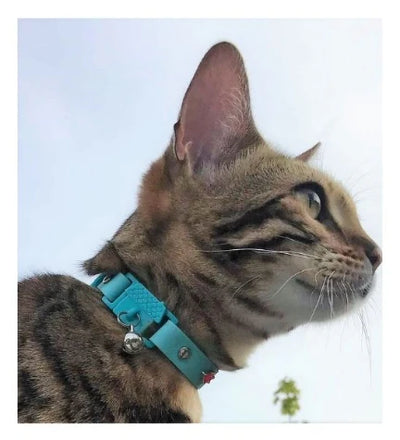 Kittyrama Aqua Cat Collar