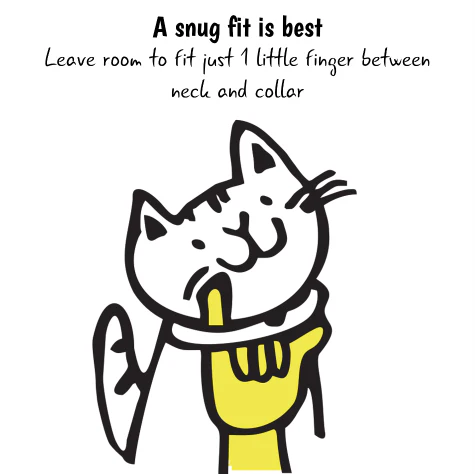 Kittyrama Copacabana Cat Collar