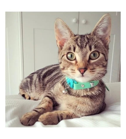 Kittyrama Meadow Cat Collar