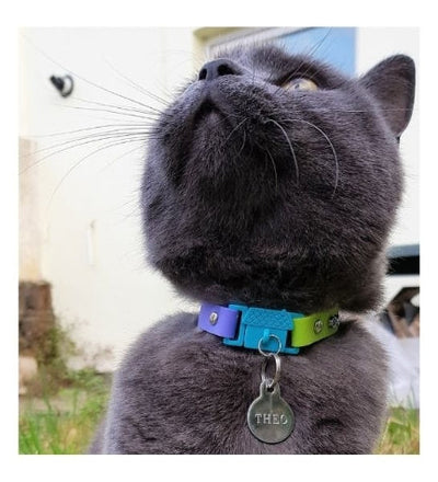 Kittyrama Tahiti Cat Collar