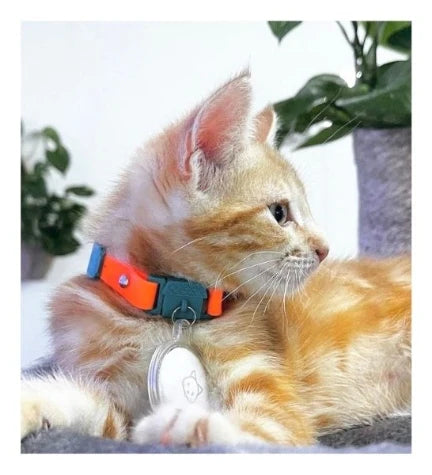 Kittyrama Tangerine Kitten Collar