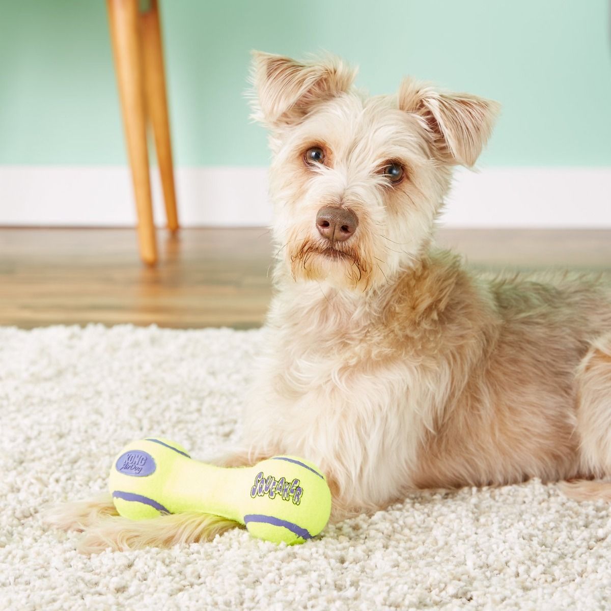 Kong AirDog Squeaker Dumbbell Dog Toy