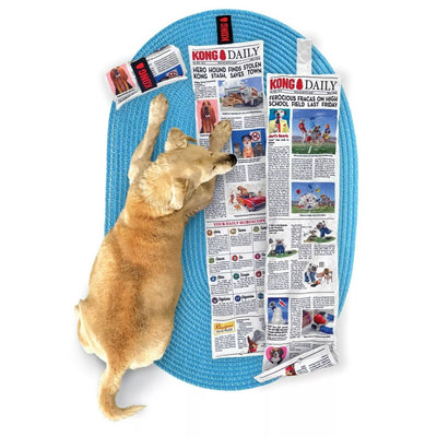 Kong Daily Newspaper Dog Toy XL