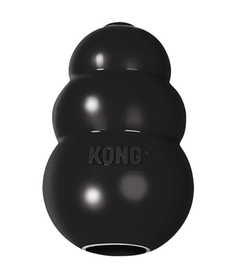 Kong Extreme Dog Toy
