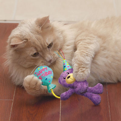 Kong Occasions Birthday Teddy Cat Toy