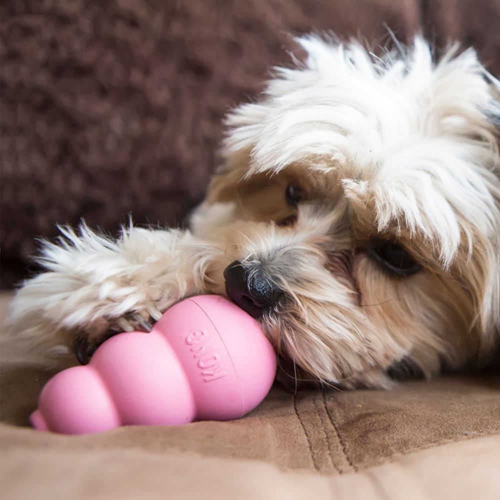 Kong Puppy Toy