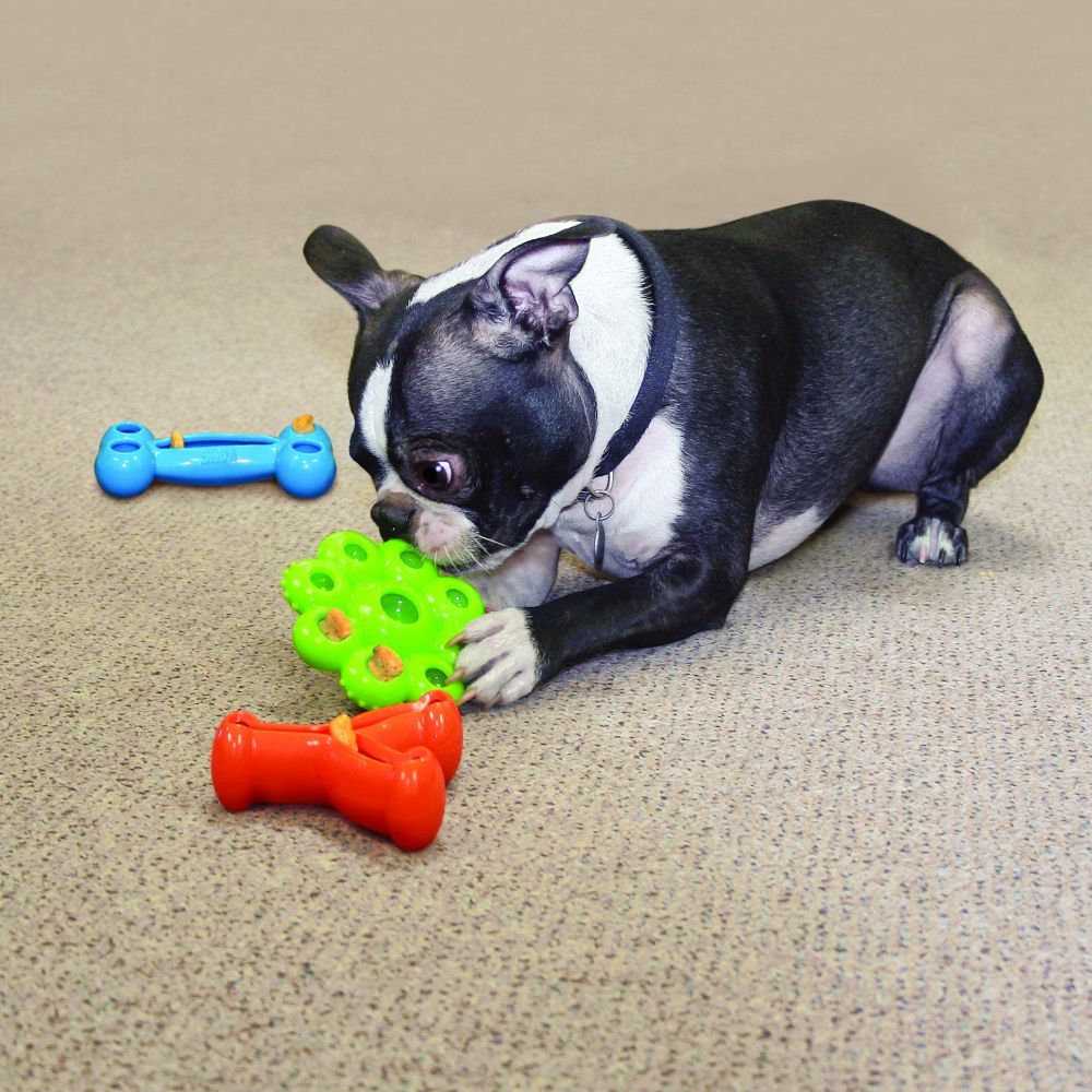 Kong Quest Wishbone Dog Toy