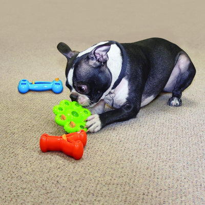 Kong Quest Wishbone Dog Toy