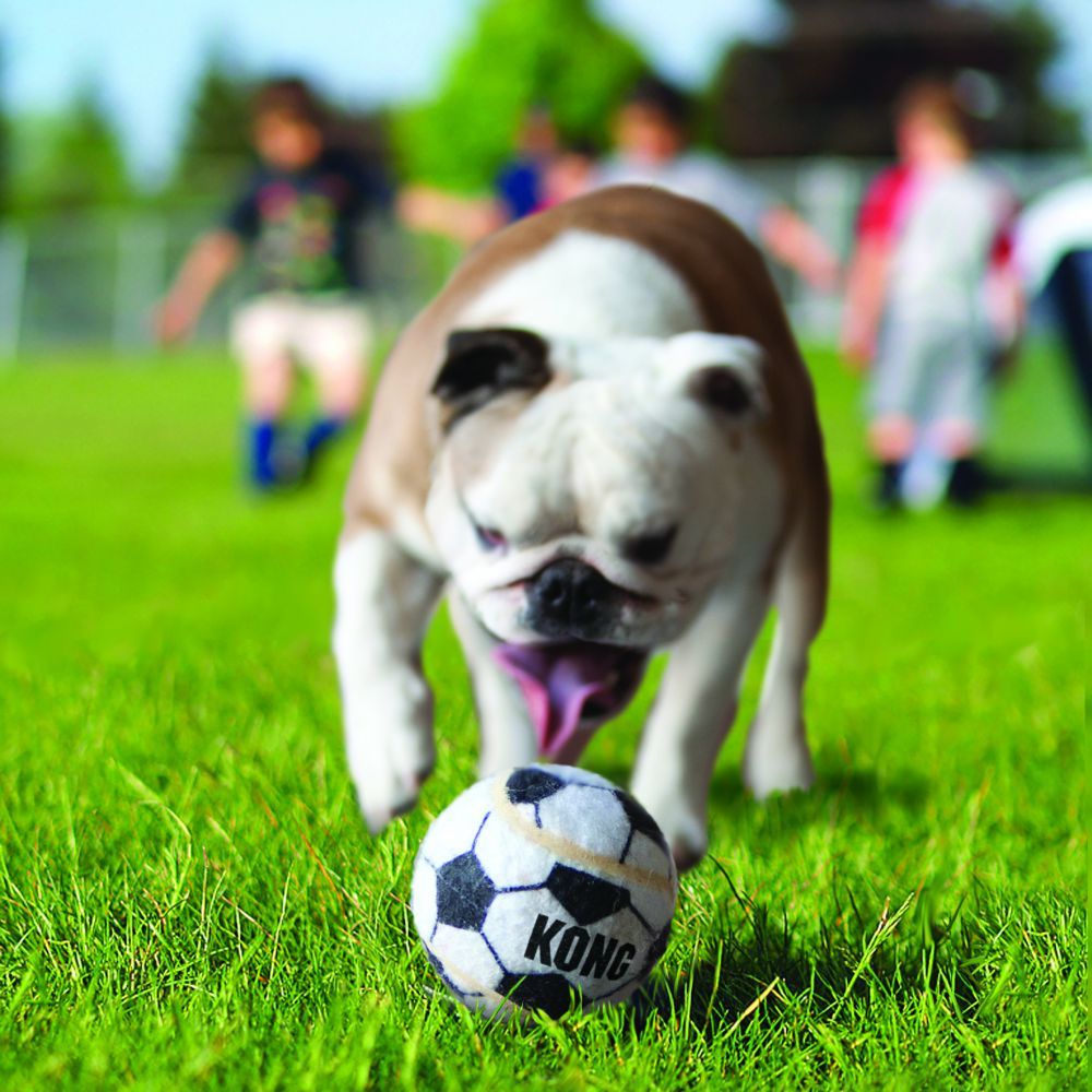 Kong Sport Balls Dog Toy