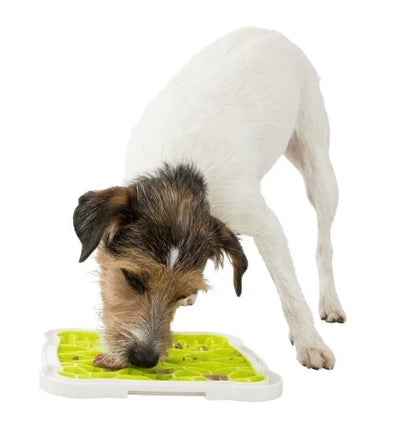 Lick'n'Snack Platter for Dogs