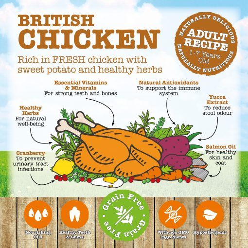 Little BigPaw British Chicken Adult Dry Cat Food
