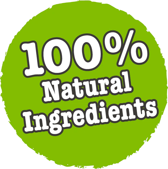 Little BigPaw Traditional Turkey & Vegetable Dinner Wet Dog Food 150g