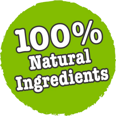 Little BigPaw Traditional Turkey & Vegetable Dinner Wet Dog Food 150g