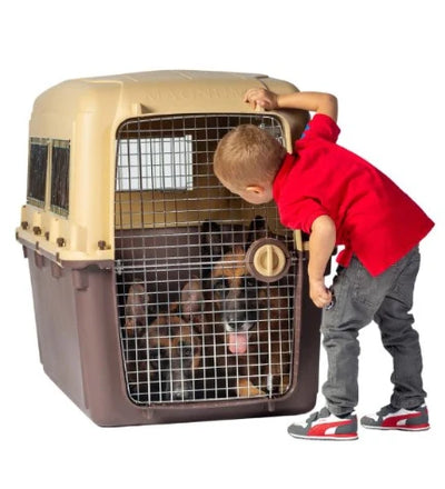 Magnum Airline Compliant Dog Crate