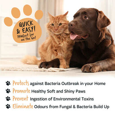 Bugalugs Oatmeal No Rinse Paw Cleaner - 200ml