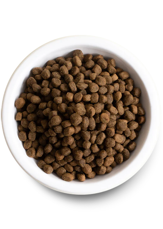 Open Farm Grain Free Catch of the Season Whitefish Dry Dog Food