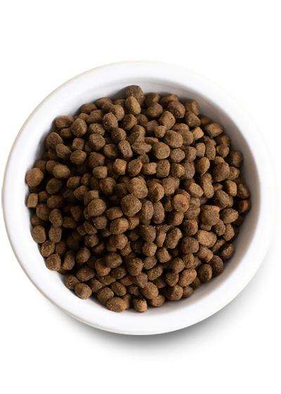 Open Farm Grain Free Catch of the Season Whitefish Dry Dog Food