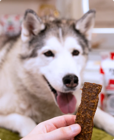 Open Farm Grain Free Jerky Strips Turkey Dog Treat 158G